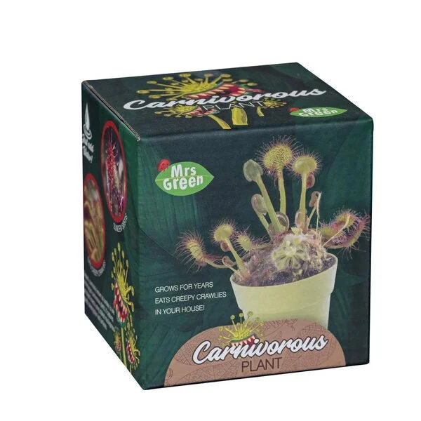 Grow Your Own Carnivorous Plant