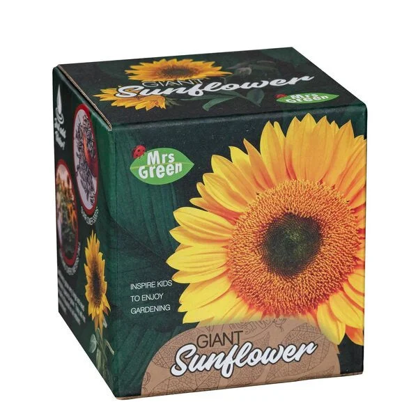 Grow Your Own Sunflower